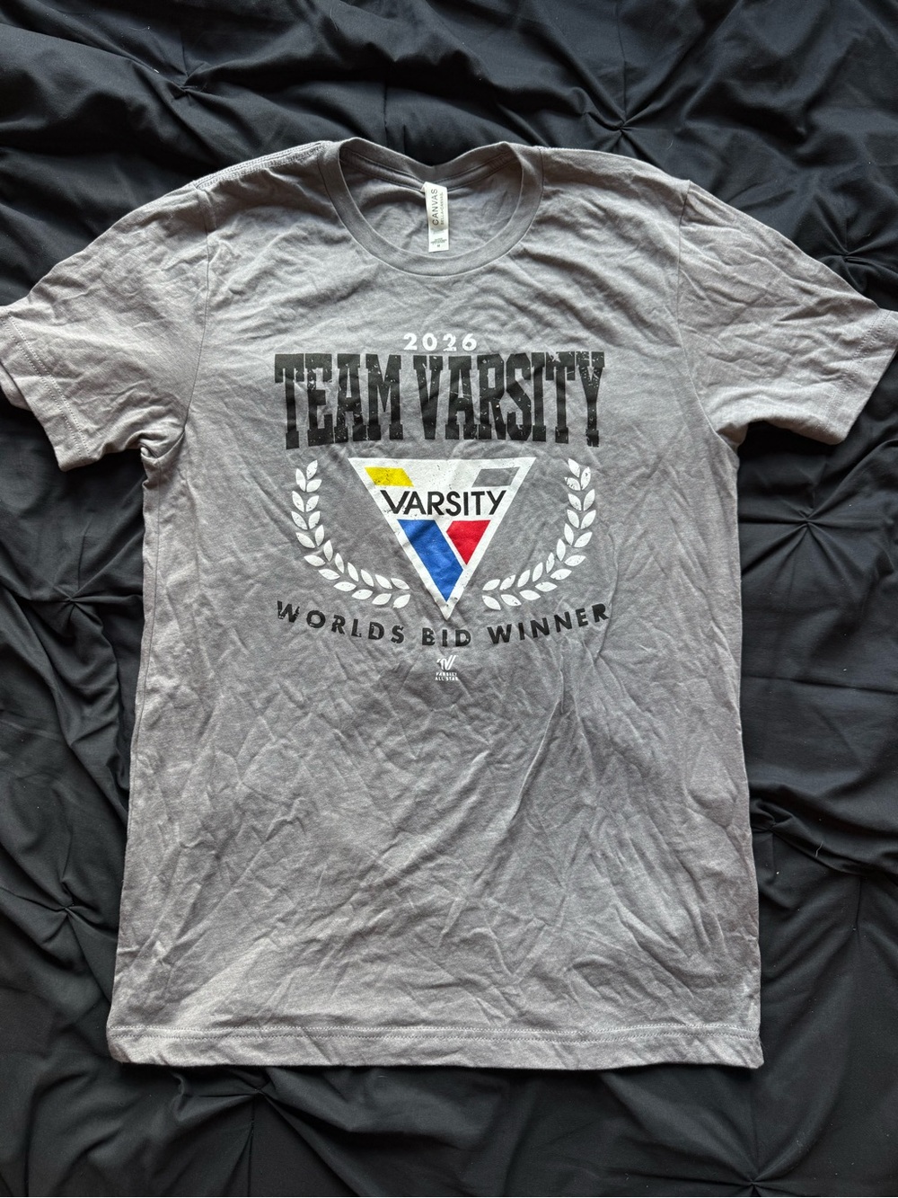 Bella Canvas Gray Team Varsity Graphic Tee with Tri-Color Logo